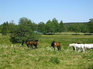 Ferienhaus Ulricehamn  9