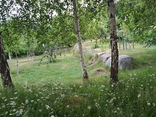 Ferienhaus Holmsjö  13