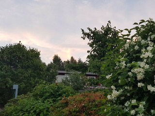 Ferienhaus Holmsjö  14
