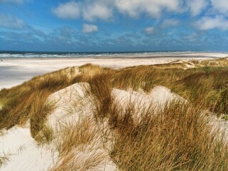 Casa de vacaciones Wyk auf Föhr Entorno 27