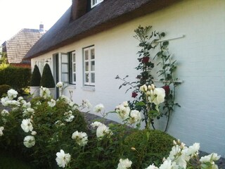 Casa per le vacanze Wyk auf Föhr Registrazione all'aperto 4