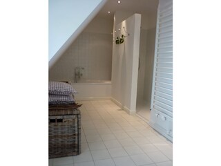 Spacious shower and bathroom