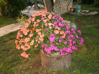 Appartamento per vacanze Porec Registrazione all'aperto 8