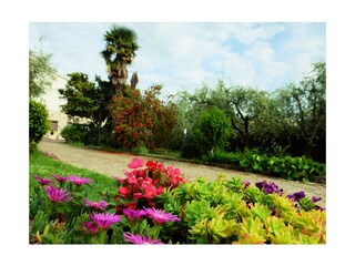 Holiday apartment Porec Outdoor Recording 2