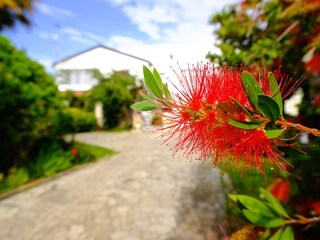 Holiday apartment Porec Outdoor Recording 6
