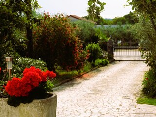 Holiday apartment Porec Outdoor Recording 10