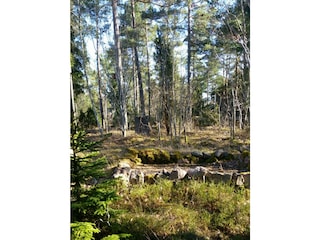 Ferienhaus Figeholm Außenaufnahme 11