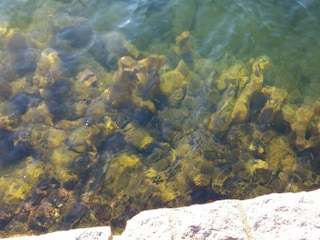 Ferienhaus Figeholm  28