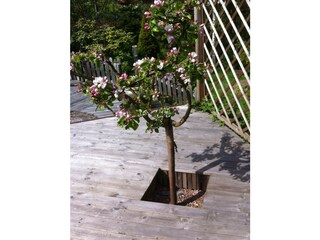 Ferienhaus Oxelösund  6