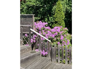 Holiday house Oxelösund  11