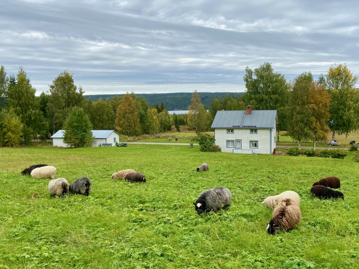 Ferienhaus Strömsund  3