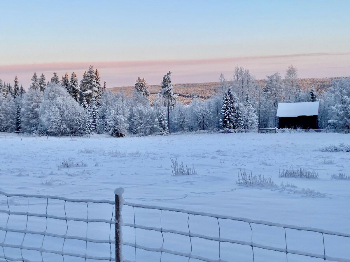 Ferienhaus Strömsund  16