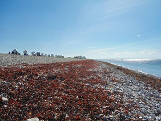 Vakantiehuis Kopendorf Omgeving 32