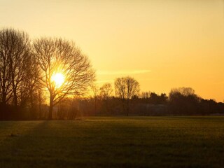Parc de vacances Boxtel Environnement 30