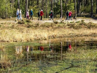 Parco vacanze Boxtel Ambiente 22