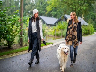 Vakantiepark Boxtel  30