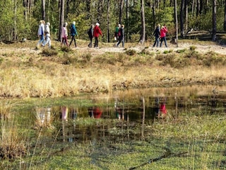 Parc de vacances Boxtel Environnement 24