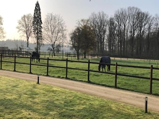 Parc de vacances Boxtel Environnement 30