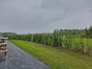 Parc de vacances Boxtel Environnement 33