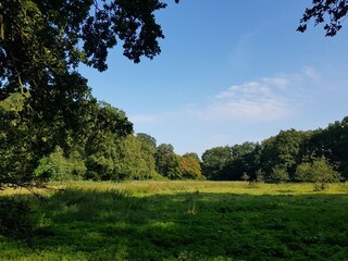 Wiesen und Parks 5 min.von dee Wohnung