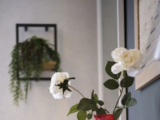 Ferienwohnung Bad Zwischenahn Ausstattung 29