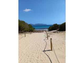 Direct beach access from the flat