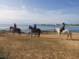 Horseback ride by the sea