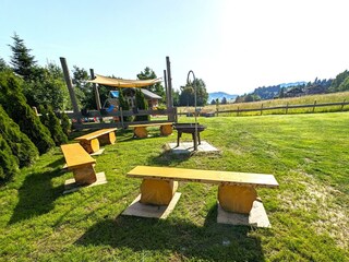 PXL_20240619_064929458