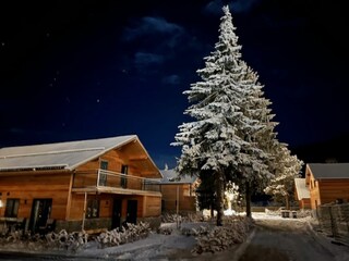 Chalet Doppel Winter