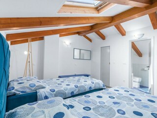 Villa Višnjan Caratteristiche 32