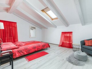 Villa Višnjan Caratteristiche 41