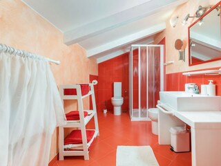 Villa Višnjan Caratteristiche 43