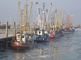 Wintersonne im Hafen