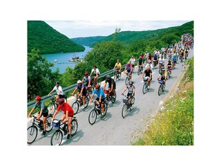 Villa Kastelir Ambiente 39