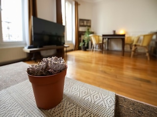 Apartment Paris  37