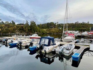 Holiday house Auklandshamn  32