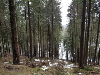 Appartement Winterberg Omgeving 34