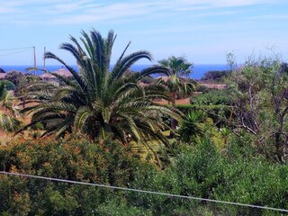 Ferienhaus Cala Llombards Außenaufnahme 12