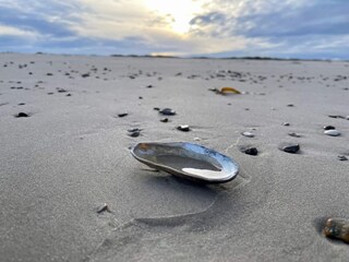 Casa de vacaciones Blokhus  21