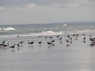 Casa de vacaciones Blokhus  15