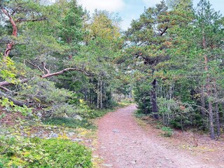 Holiday house Grisslehamn  15