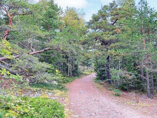 Holiday house Grisslehamn  23