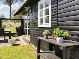 Vakantiehuis Blokhus  4