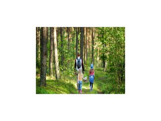 Ferienpark Diemelsee Umgebung 20