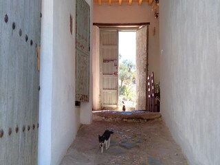Holiday cottage Cartama Features 24