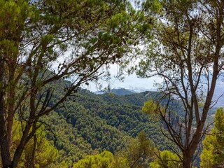 Cottage Cartama Umgebung 34