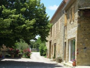 Ferienhaus Villa in Conilhac mit privater Terrasse - Roquetaillade - image1