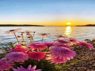 Maison de vacances Kranidi Environnement 15