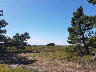 Ferienhaus Læsø  27