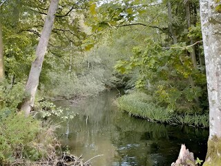 Vakantiehuis Dagsås  16